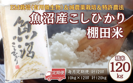 [令和7年産 ]魚沼産コシヒカリ棚田米 120kg (10キロ×12回) 佐藤農場 | 新潟県 コシヒカリ おこめ