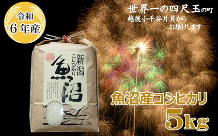 K13P303 令和6年産 魚沼産コシヒカリ5kg[(有)米萬商店]世界一の四尺玉の町片貝町 白米 魚沼 米