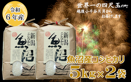 令和6年産 魚沼産コシヒカリ 10kg(5kg×2袋)/コシヒカリ コシヒカリ コシヒカリ/米萬商店