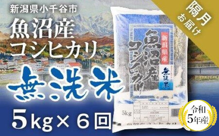 BG無洗米・金芽米きぬむすめ 5kg×6回 定期便 【隔月】 ［令和5年産