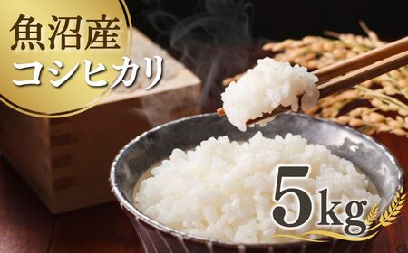 【先行予約】令和7年産新米 魚沼産コシヒカリ 5kg 吉兆楽 コシヒカリ コシヒカリ コシヒカリ