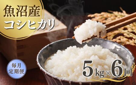 【先行予約 定期便】令和7年産新米 魚沼産コシヒカリ 5kg×全6回 吉兆楽 コシヒカリ コシヒカリ コシヒカリ