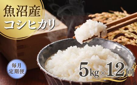 【先行予約 定期便】令和7年産新米 魚沼産コシヒカリ 5kg×全12回 吉兆楽 コシヒカリ コシヒカリ コシヒカリ