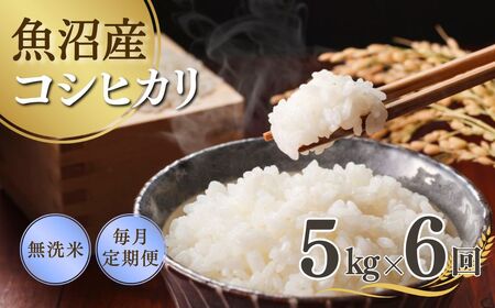 【先行予約 定期便】令和7年産新米 魚沼産コシヒカリ 無洗米 5kg×全6回 吉兆楽 無洗米 無洗米 無洗米 無洗米