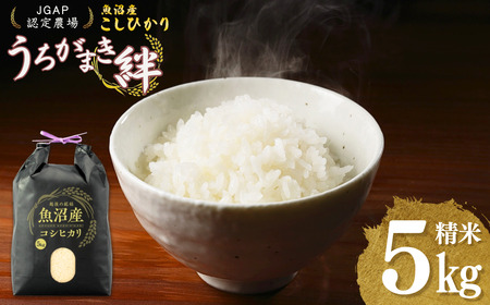 ߘa7NY YRVqJ 5kg ܂J | Y Ђ