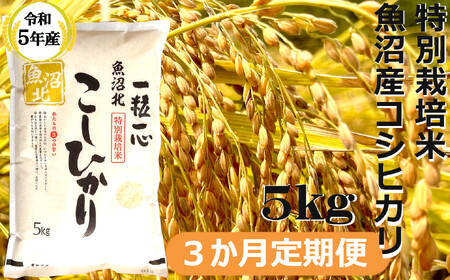 r05-30-4G [令和5年産]特別栽培米 魚沼産コシヒカリ5kg(3か月定期便)((有)グリーン)白米 魚沼 米 定期便