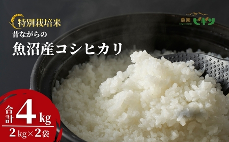 令和7年産 昔ながらの魚沼産コシヒカリ 従来品種 精米 4kg(2kg×2袋)農園ビギン/コシヒカリ コシヒカリ コシヒカリ コシヒカリ