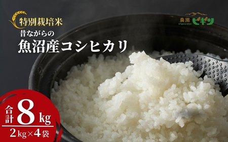 令和7年産 昔ながらの魚沼産コシヒカリ 従来品種 精米 8kg（2kg×4袋）農園ビギン/魚沼産コシヒカリ 魚沼産コシヒカリ 魚沼産コシヒカリ魚沼産コシヒカリ