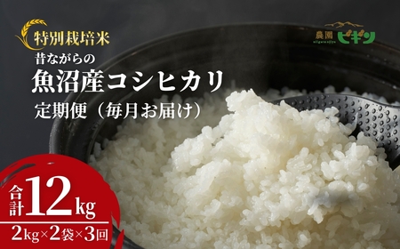 令和7年産 昔ながらの魚沼産コシヒカリ 従来品種 定期便 12kg(2kg×2袋×毎月全3回)農園ビギン/定期便 定期便 定期便 定期便