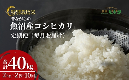 令和7年産 昔ながらの魚沼産コシヒカリ 従来品種 定期便 40kg（2kg×2袋×毎月全10回）農園ビギン/定期便 定期便 定期便 定期便