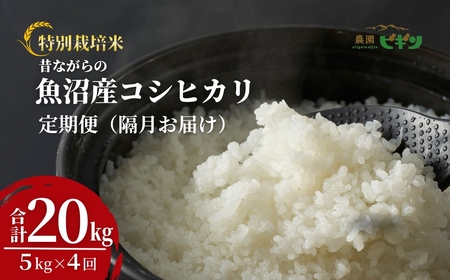 令和7年産 昔ながらの魚沼産コシヒカリ 従来品種 定期便 20kg(5kg×隔月全4回)農園ビギン/定期便 定期便 定期便 定期便