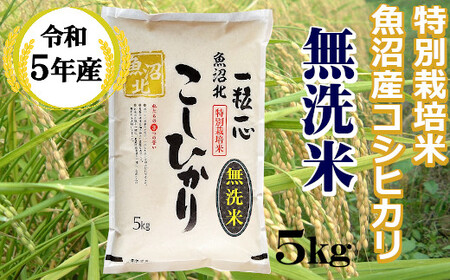 r05-10-7G [令和5年産][無洗米]特別栽培米 魚沼産コシヒカリ 5kg((有)グリーン)白米 魚沼 米
