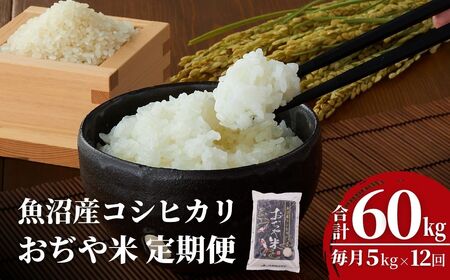 ߘa7NY YRVqJ 5kg×12i͂ji12A͂jJA / 