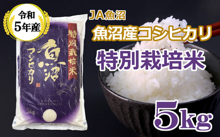 r05-14-4JA [令和5年産] 特別栽培米 魚沼産コシヒカリ5kg (JA魚沼) 白米 魚沼 米
