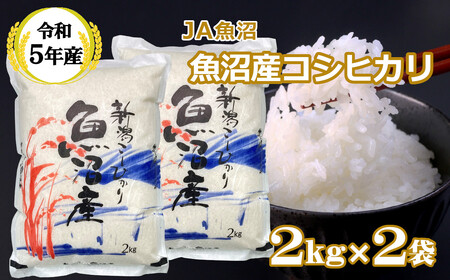 r05-11-2JA [令和5年産] 魚沼産コシヒカリ2kg×2袋(JA魚沼)白米 魚沼 米