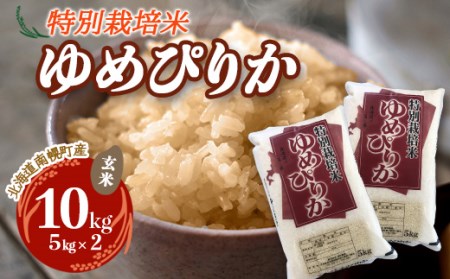 特別栽培米 ゆめぴりか（玄米）5kg×2袋 令和4年度米 2022年10月発送 NP1-047