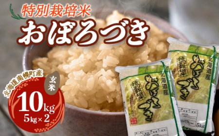 特別栽培米 おぼろづき（玄米）5kg×2袋 令和4年度米 2022年10月発送 NP1-051