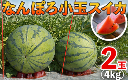 8月発送】北海道産 小玉スイカ 2玉 約4kg なんぽろ小玉すいか 令和7年度産 8月発送開始 南幌町 NP1-348 すいか スイカ すいか スイカ すいか スイカ すいか スイカ