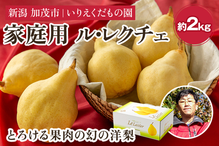 y2025Ns\zyƒpz mEN`F 2kg i5`7ʁj s11{ȍ~t ̗m 肦̉