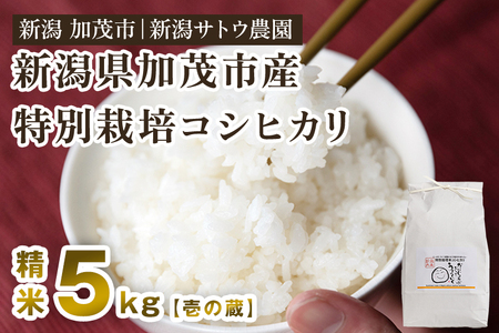 [令和6年産新米先行予約]化学肥料不使用の従来コシヒカリ[壱の蔵5kg]特別栽培 有機肥料で育った厳選米 加茂市 新潟サトウ農園 コシヒカリ 新潟県産コシヒカリ 米 お米コシヒカリ コシヒカリ コシヒカリ コシヒカリ コシヒカリ