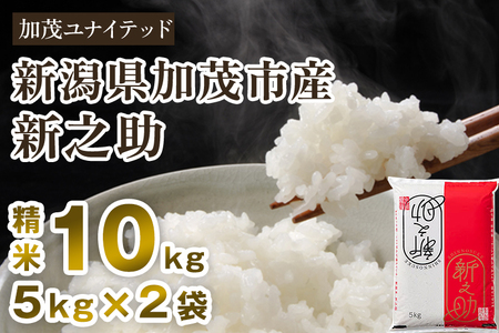 [令和6年産新米先行予約]新潟県産 新之助 精米 10kg (5kg×2袋) 東京・南青山の料亭で使用される極上米 米 白米 しんのすけ 加茂 新之助 精米 10kg 加茂の おいしい 加茂市 ユナイテッド 