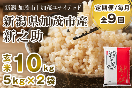【令和7年産】【9ヶ月定期便】新潟県産 新之助 玄米10kg 《5kg×2袋》加茂ユナイテッド