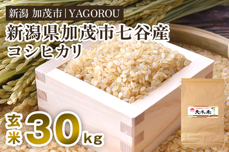 【令和7年産新米先行予約】新潟県加茂市 七谷産コシヒカリ  玄米30kg 《10月中旬～順次発送》 新潟産コシヒカリ 豊かな山水で育った天水米 加茂市 YAGOROU ヤゴロウ
