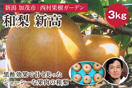 [2025年先行予約]西村の黒酢ミネラル栽培 和梨 「新高」 3kg(4〜9玉)[10月上旬〜順次発送]にいたか 梨 和梨 玄米黒酢やヨーグルトを散布して育てた梨 果物 フルーツ ギフト 加茂市 西村果樹ガーデン