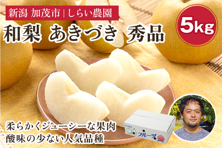 【2026年先行予約】しらい農園の和梨 あきづき 秀品5kg（8～18玉）《9月下旬～順次発送》 果実 フルーツ 贈答 ギフト 甘くてジューシーな梨 なし 秋月 加茂市 しらい農園