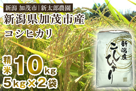 [令和7年産新米先行予約]新潟産コシヒカリ 精米 10kg(5kg×2袋)[9月下旬から順次発送] コシヒカリ 新潟産 米 お米 白米 有機肥料で育ったこだわり米 加茂市 新太郎農園 新潟県産コシヒカリ 米 お米