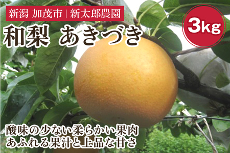 和梨 あきづき 3kg（5～7玉） 《9月下旬から順次発送》 果物 フルーツ 梨 和梨 デザート 加茂市  新太郎農園 梨 梨 梨 梨 梨