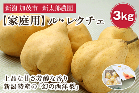 [2025年先行予約][家庭用]幻の洋梨 ル・レクチェ3kg(8〜11玉) [11月下旬から順次発送] 果物 フルーツ 家庭用 加茂市産ル・レクチェ 梨 西洋梨 加茂市 新太郎農園