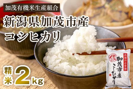 【令和7年産新米先行予約】新潟県加茂市産コシヒカリ 精米2kg 《10月中旬から順次出荷 》 白米 加茂有機米生産組合 新潟県産コシヒカリ 米 お米