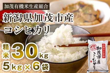 yߘa7NYVĐs\zVΎsYRVqJ 30kgi5kg×6j s10{珇o t  ΗL@ĐYg