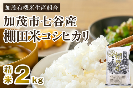 【令和6年産新米先行予約】新潟県加茂市 七谷産 棚田米コシヒカリ 精米2kg 白米 加茂有機米生産組合 新潟県産コシヒカリ 米 お米