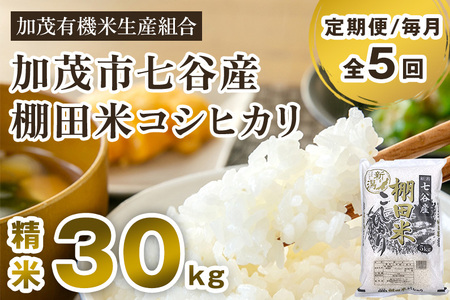 yߘa7NYVĐs\zy5͂z JY IcăRVqJ 30kgi5kg×6js10{珇oׁt 