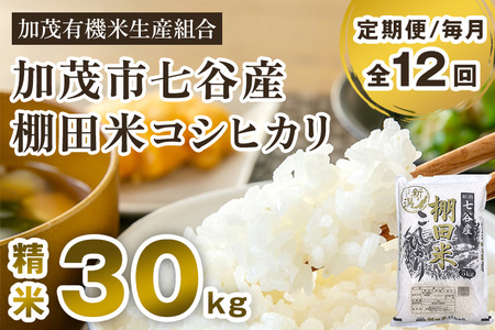 [令和7年産新米先行予約][定期便12ヶ月毎月お届け] 七谷産 棚田米コシヒカリ 精米30kg(5kg×6)[10月中旬から順次出荷] 白米