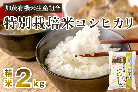 [令和7年産新米先行予約]新潟県加茂市産 特別栽培米コシヒカリ 精米2kg [10月中旬から順次出荷] 白米 従来品種コシヒカリ 加茂有機米生産組合 新潟県産コシヒカリ 米 お米
