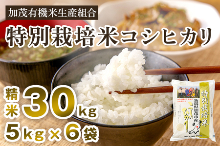 yߘa7NYVĐs\zVΎsY ʍ͔|ăRVqJ 30kgi5kg×6j s10{珇oׁt  ]iRVqJ ΗL@ĐYg