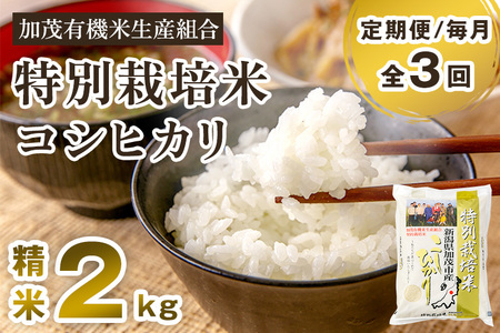 [令和7年産新米先行予約][定期便3回毎月お届け]新潟県加茂市産 特別栽培米コシヒカリ 精米2kg [10月中旬から順次出荷] 白米 従来品種コシヒカリ 加茂有機米生産組合 定期便 定期購入 定期 新潟県産コシヒカリ 米 お米