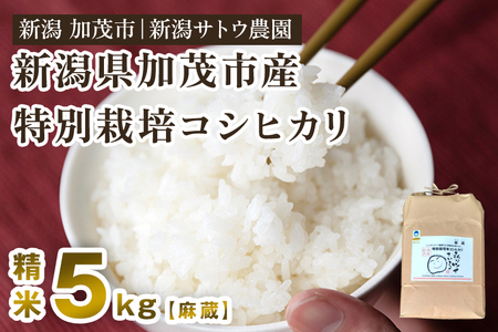 【令和6年産新米先行予約】化学肥料不使用の従来コシヒカリ【麻蔵5kg】特別栽培 有機肥料で育った厳選米 加茂市 新潟サトウ農園