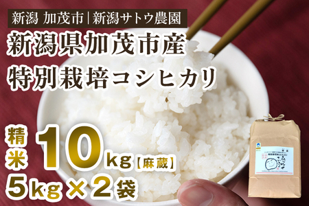 【令和6年産新米先行予約】化学肥料不使用の従来コシヒカリ【麻蔵10kg】特別栽培 有機肥料で育った厳選米 加茂市 新潟サトウ農園