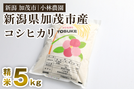 [令和6年産新米]加茂市小林農園のコシヒカリ 5kg(5kg×1袋)新潟産コシヒカリ お米 精米 料亭や割烹でも愛される従来品種 加茂市 小林農園 コシヒカリ 米 9月発送 米 9月発送