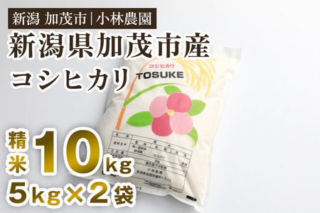 米 9月発送[令和6年産新米]加茂市小林農園のコシヒカリ 10kg(5kg×2袋)新潟産コシヒカリ お米 精米 料亭や割烹でも愛される従来品種 加茂市 小林農園 コシヒカリ 米 9月発送 米 9月発送