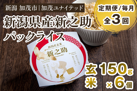 [定期便3ヶ月毎月お届け]新潟県産 新之助 玄米パックライス(150g×6個入) 新潟産米 自宅で簡単 パックごはん 時短 贈り物にも ブランド米 加茂市 加茂ユナイテッド 米 米 米 米 米 米