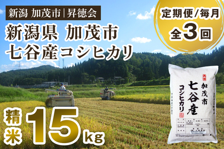 [令和6年産新米先行予約][定期便3回毎月お届け]新潟県加茂市 七谷産コシヒカリ 精米15kg(5kg×3) 白米 高柳地域産数量限定 昇徳会 [0014-001-03-r1-03]