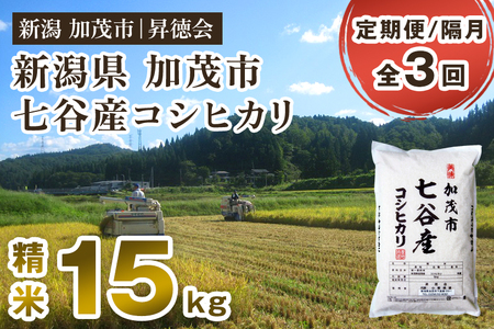 [令和6年産新米先行予約][定期便3回隔月お届け]新潟県加茂市 七谷産コシヒカリ 精米15kg(5kg×3) 白米 高柳地域産数量限定 昇徳会