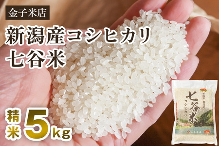 [令和7年産新米先行予約]老舗米穀店が厳選 新潟産 従来品種コシヒカリ「七谷米」精米5kg [10月上旬から順次出荷] 白米 窒素ガス充填パックで鮮度長持ち 金子米店 新潟県産コシヒカリ 米 お米