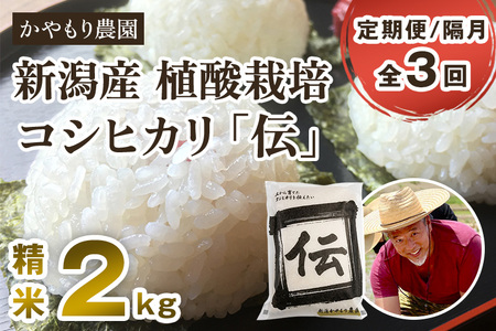 【令和7年産新米】【定期便3回隔月お届け】新潟産コシヒカリ「伝」白米真空パック 精米2kg 《9月下旬～順次出荷》 かやもり農園