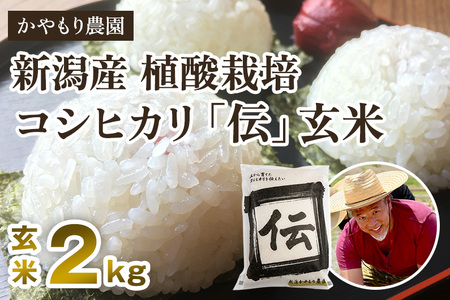 [令和7年産新米]新潟産コシヒカリ「伝」真空パック 玄米2kg [9月下旬〜順次出荷] かやもり農園